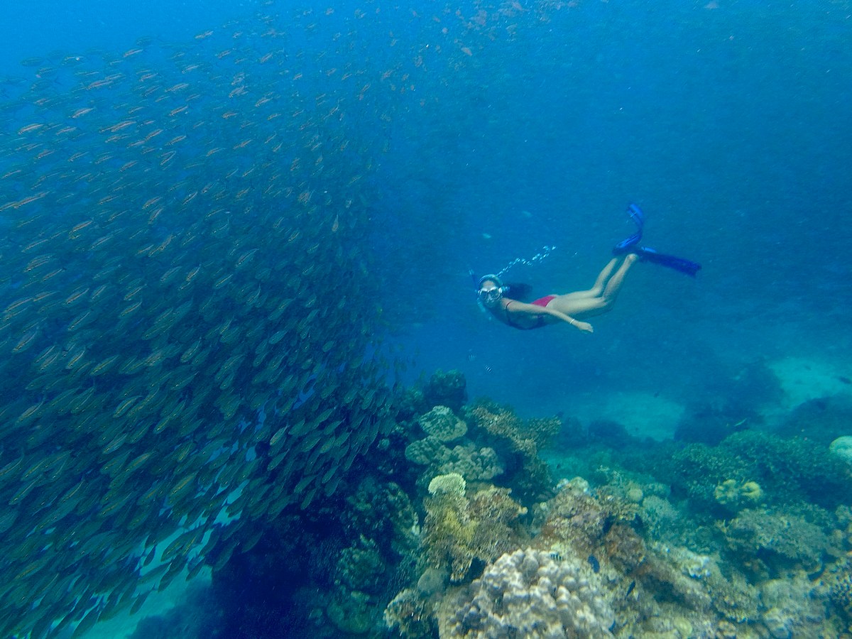 Now I’m free… free divin’…